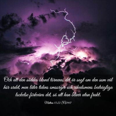 Picture 03 - Matteus 13:22 SV1917 - Och att den såddes bland törnena, det är sagt - Bible Verse Picture