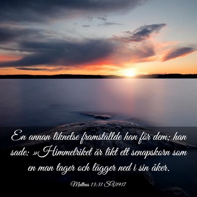 Picture 03 - Matteus 13:31 SV1917 - En annan liknelse framställde han för dem; han - Bible Verse Picture
