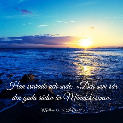 Picture 03 - Matteus 13:37 SV1917 - Han svarade och sade: »Den som sår den goda - Bible Verse Picture