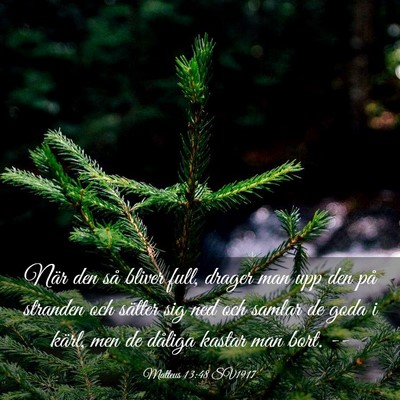 Picture 03 - Matteus 13:48 SV1917 - När den så bliver full, drager man upp den på - Bible Verse Picture