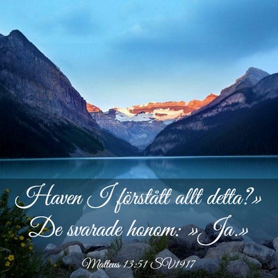 Picture 03 - Matteus 13:51 SV1917 - Haven I förstått allt detta?» De svarade - Bible Verse Picture
