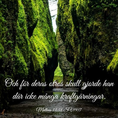 Picture 03 - Matteus 13:58 SV1917 - Och för deras otros skull gjorde han där icke - Bible Verse Picture