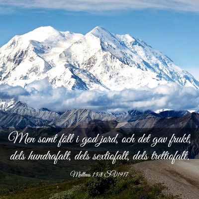 Picture 03 - Matteus 13:8 SV1917 - Men somt föll i god jord, och det gav frukt, - Bible Verse Picture