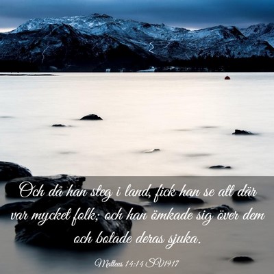 Picture 03 - Matteus 14:14 SV1917 - Och då han steg i land, fick han se att där var - Bible Verse Picture