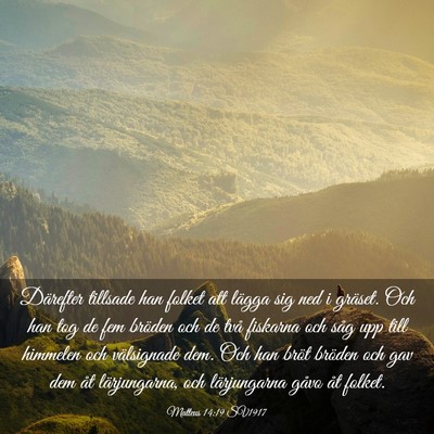 Picture 03 - Matteus 14:19 SV1917 - Därefter tillsade han folket att lägga sig ned - Bible Verse Picture