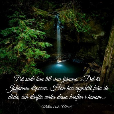 Picture 03 - Matteus 14:2 SV1917 - Då sade han till sina tjänare: »Det är - Bible Verse Picture