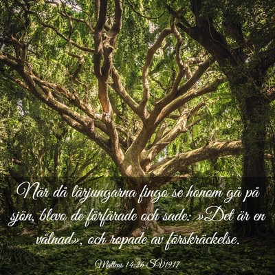 Picture 03 - Matteus 14:26 SV1917 - När då lärjungarna fingo se honom gå på - Bible Verse Picture