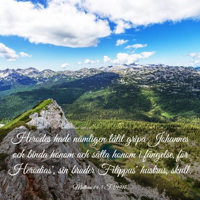 Picture 03 - Matteus 14:3 SV1917 - Herodes hade nämligen låtit gripa Johannes och - Bible Verse Picture