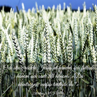 Picture 03 - Matteus 14:31 SV1917 - Och strax räckte Jesus ut handen och fattade i - Bible Verse Picture