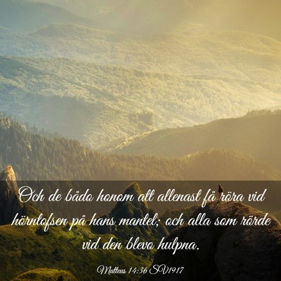 Picture 03 - Matteus 14:36 SV1917 - Och de bådo honom att allenast få röra vid - Bible Verse Picture