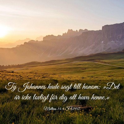 Picture 03 - Matteus 14:4 SV1917 - Ty Johannes hade sagt till honom: »Det är icke - Bible Verse Picture