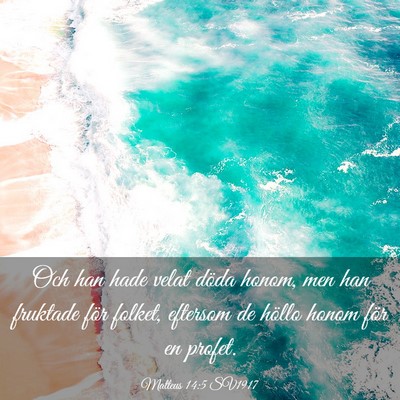 Picture 03 - Matteus 14:5 SV1917 - Och han hade velat döda honom, men han fruktade - Bible Verse Picture