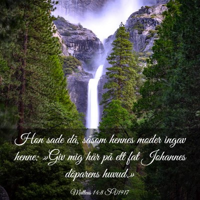 Picture 03 - Matteus 14:8 SV1917 - Hon sade då, såsom hennes moder ingav henne: - Bible Verse Picture