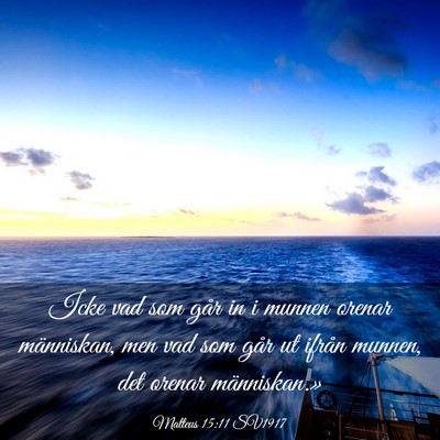 Picture 03 - Matteus 15:11 SV1917 - Icke vad som går in i munnen orenar människan, - Bible Verse Picture