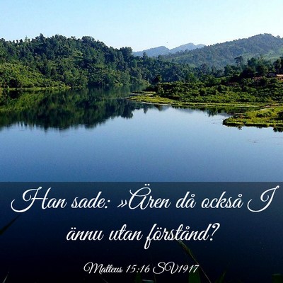 Picture 03 - Matteus 15:16 SV1917 - Han sade: »Ären då också I ännu utan - Bible Verse Picture