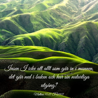 Picture 03 - Matteus 15:17 SV1917 - Insen I icke att allt som går in i munnen, det - Bible Verse Picture