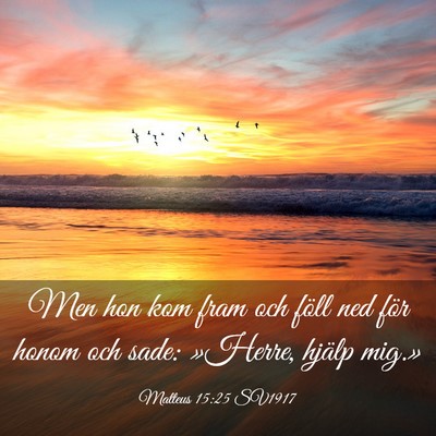 Picture 03 - Matteus 15:25 SV1917 - Men hon kom fram och föll ned för honom och - Bible Verse Picture