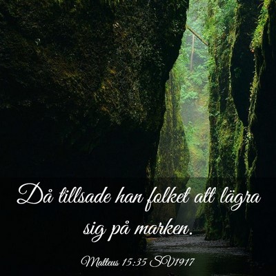 Picture 03 - Matteus 15:35 SV1917 - Då tillsade han folket att lägra sig på - Bible Verse Picture