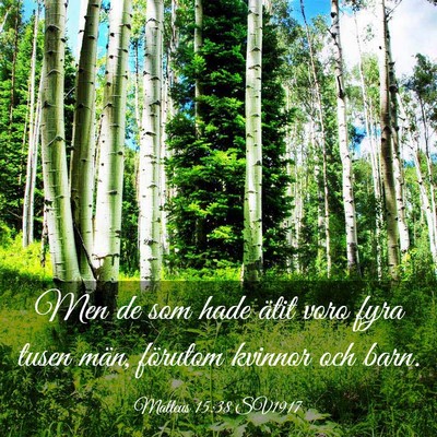 Picture 03 - Matteus 15:38 SV1917 - Men de som hade ätit voro fyra tusen män, - Bible Verse Picture
