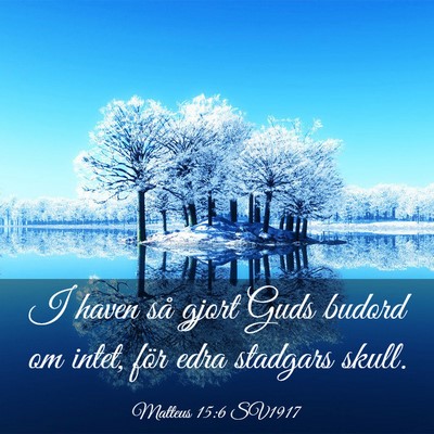 Picture 03 - Matteus 15:6 SV1917 - I haven så gjort Guds budord om intet, för edra - Bible Verse Picture