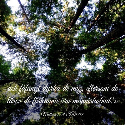 Picture 03 - Matteus 15:9 SV1917 - och fåfängt dyrka de mig, eftersom de läror de - Bible Verse Picture