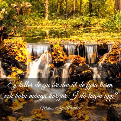Picture 03 - Matteus 16:10 SV1917 - Ej heller de sju bröden åt de fyra tusen, och - Bible Verse Picture