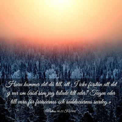Picture 03 - Matteus 16:11 SV1917 - Huru kommer det då till, att I icke förstån - Bible Verse Picture