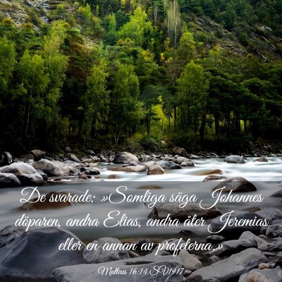 Picture 03 - Matteus 16:14 SV1917 - De svarade: »Somliga säga Johannes döparen, - Bible Verse Picture