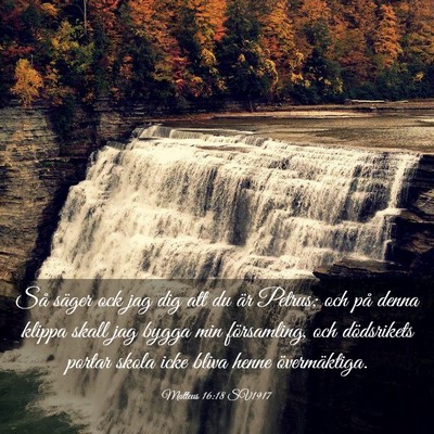 Picture 03 - Matteus 16:18 SV1917 - Så säger ock jag dig att du är Petrus; och på - Bible Verse Picture