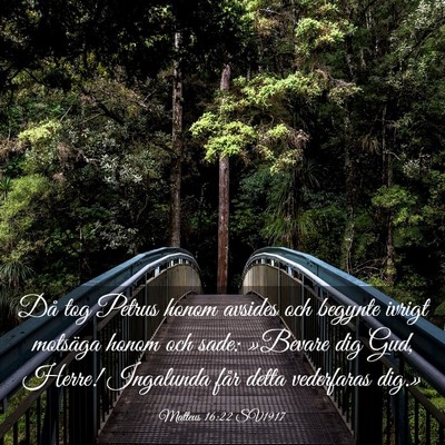 Picture 03 - Matteus 16:22 SV1917 - Då tog Petrus honom avsides och begynte ivrigt - Bible Verse Picture