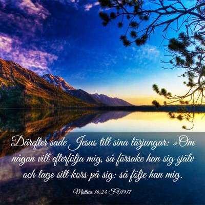 Picture 03 - Matteus 16:24 SV1917 - Därefter sade Jesus till sina lärjungar: »Om - Bible Verse Picture