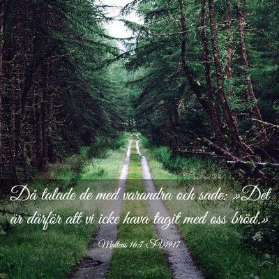 Picture 03 - Matteus 16:7 SV1917 - Då talade de med varandra och sade: »Det är - Bible Verse Picture