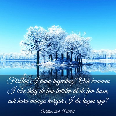 Picture 03 - Matteus 16:9 SV1917 - Förstån I ännu ingenting? Och kommen I icke - Bible Verse Picture
