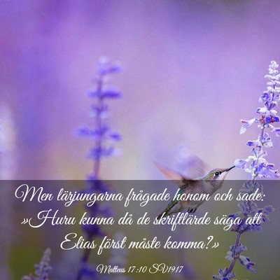 Picture 03 - Matteus 17:10 SV1917 - Men lärjungarna frågade honom och sade: »Huru - Bible Verse Picture