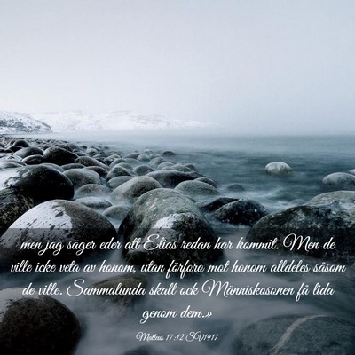 Picture 03 - Matteus 17:12 SV1917 - men jag säger eder att Elias redan har kommit. - Bible Verse Picture