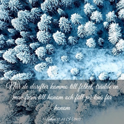 Picture 03 - Matteus 17:14 SV1917 - När de därefter kommo till folket, trädde en - Bible Verse Picture