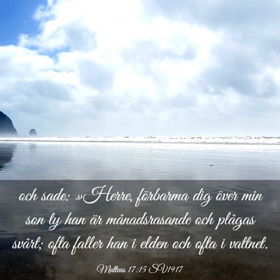 Picture 03 - Matteus 17:15 SV1917 - och sade: »Herre, förbarma dig över min son ty - Bible Verse Picture
