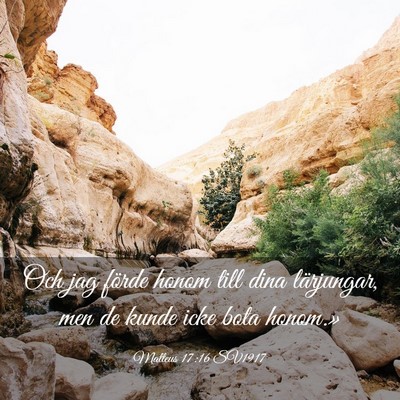 Picture 03 - Matteus 17:16 SV1917 - Och jag förde honom till dina lärjungar, men de - Bible Verse Picture
