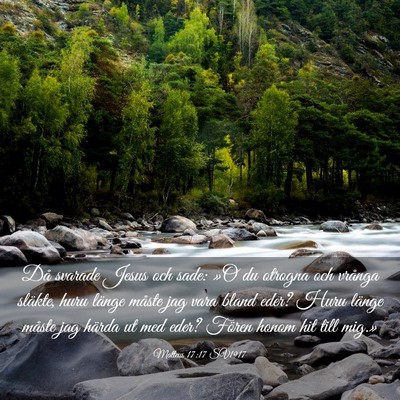 Picture 03 - Matteus 17:17 SV1917 - Då svarade Jesus och sade: »O du otrogna och - Bible Verse Picture