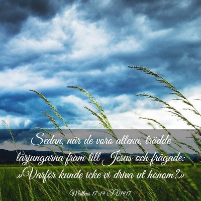 Picture 03 - Matteus 17:19 SV1917 - Sedan, när de voro allena, trädde lärjungarna - Bible Verse Picture