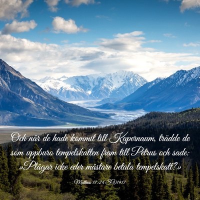 Picture 03 - Matteus 17:24 SV1917 - Och när de hade kommit till Kapernaum, trädde - Bible Verse Picture