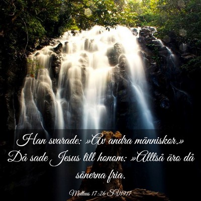 Picture 03 - Matteus 17:26 SV1917 - Han svarade: »Av andra människor.» Då sade - Bible Verse Picture