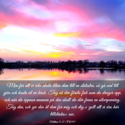 Picture 03 - Matteus 17:27 SV1917 - Men för att vi icke skola bliva dem till en - Bible Verse Picture