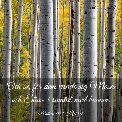 Picture 03 - Matteus 17:3 SV1917 - Och se, för dem visade sig Moses och Elias, i - Bible Verse Picture