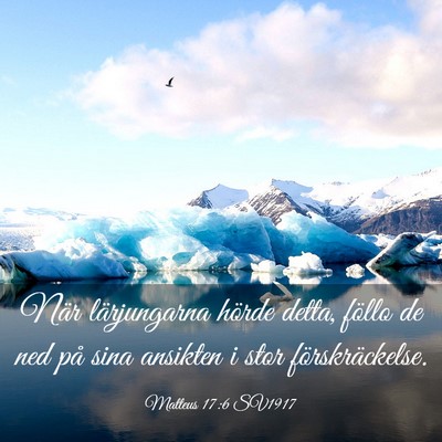 Picture 03 - Matteus 17:6 SV1917 - När lärjungarna hörde detta, föllo de ned på - Bible Verse Picture