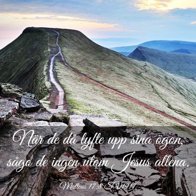 Picture 03 - Matteus 17:8 SV1917 - När de då lyfte upp sina ögon, sågo de ingen - Bible Verse Picture