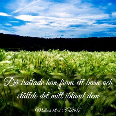 Picture 03 - Matteus 18:2 SV1917 - Då kallade han fram ett barn och ställde det - Bible Verse Picture