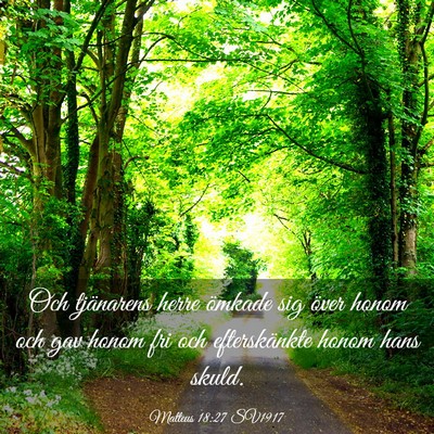 Picture 03 - Matteus 18:27 SV1917 - Och tjänarens herre ömkade sig över honom och - Bible Verse Picture