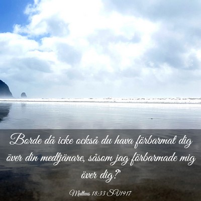 Picture 03 - Matteus 18:33 SV1917 - Borde då icke också du hava förbarmat dig - Bible Verse Picture