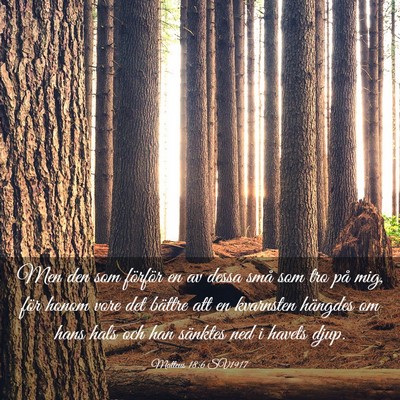 Picture 03 - Matteus 18:6 SV1917 - Men den som förför en av dessa små som tro på - Bible Verse Picture